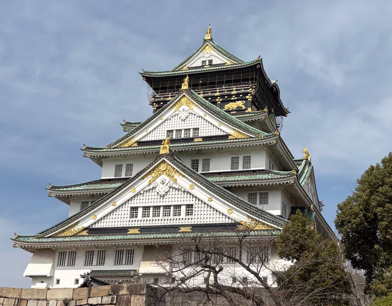 Osaka Private Tour - 