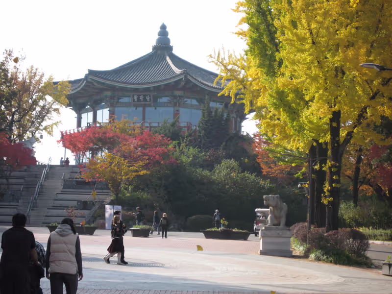 Seoul Private Tour - children's grand park in fall