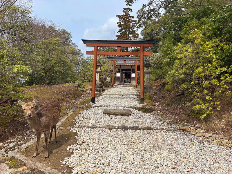 Kyoto Private Tour - 