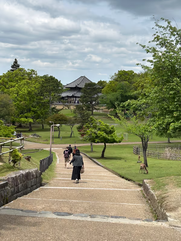 Kyoto Private Tour - 