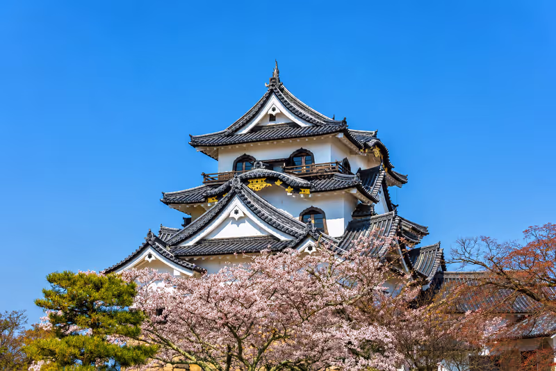 Kyoto Private Tour - 
