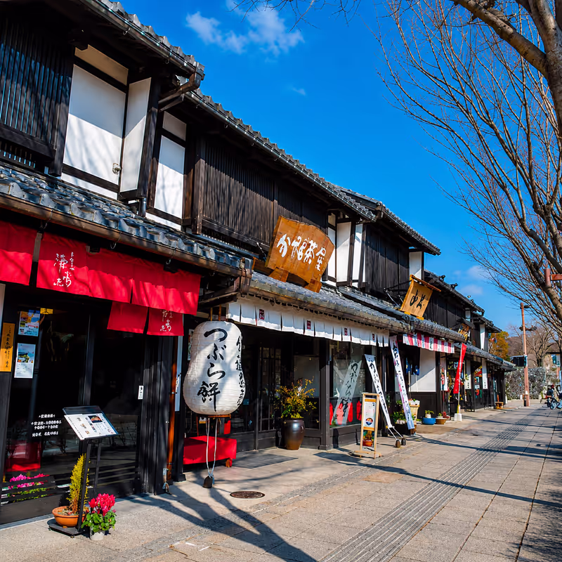 Kyoto Private Tour - 