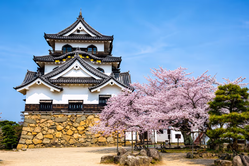 Kyoto Private Tour - 