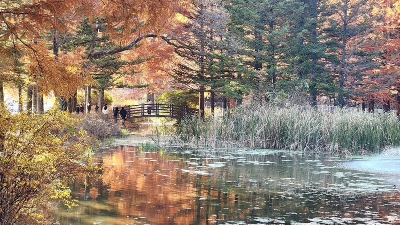 North Gyeongsang Private Tour - Nakgang River Waterway Park, the Giverny of Korea