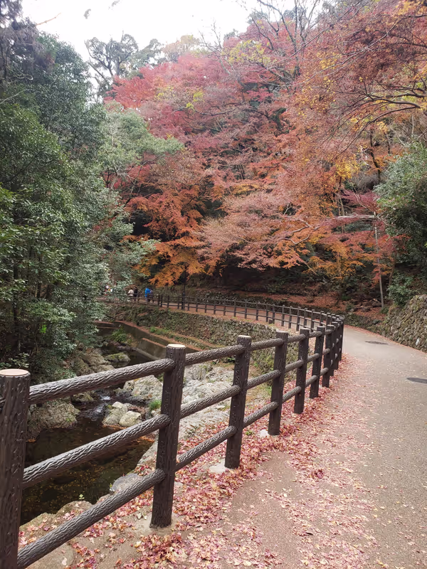 Osaka Private Tour - 