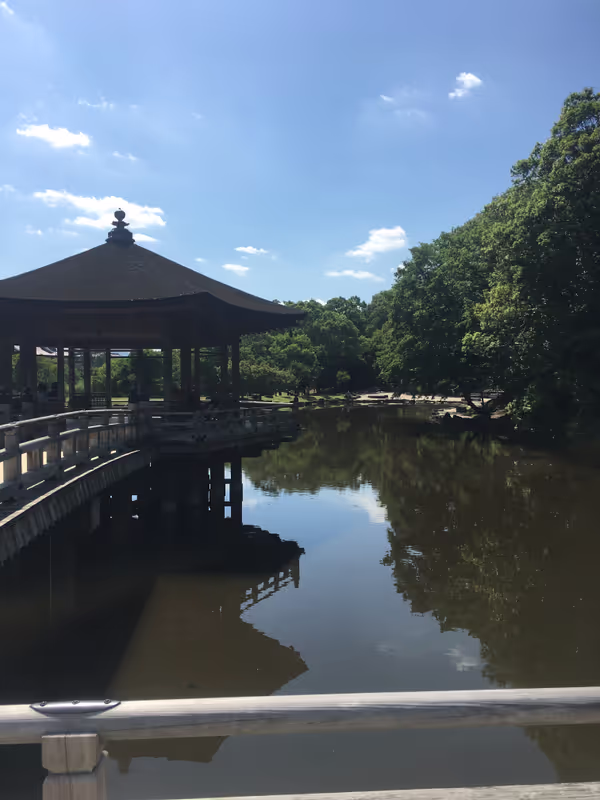 Nara Private Tour - 
