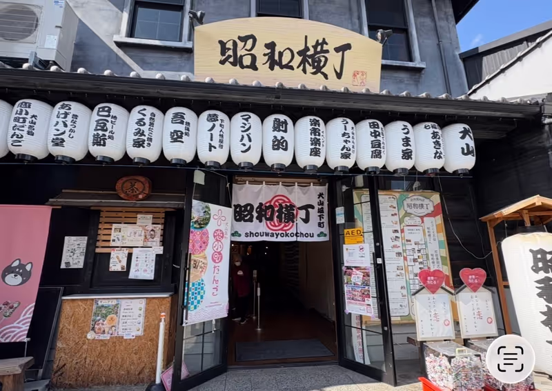 Aichi Private Tour - 