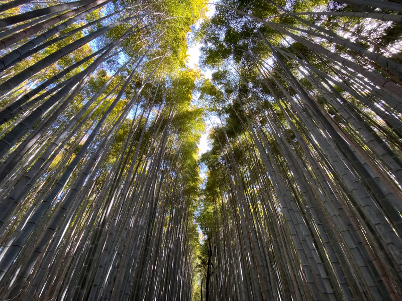 Kyoto Private Tour - 