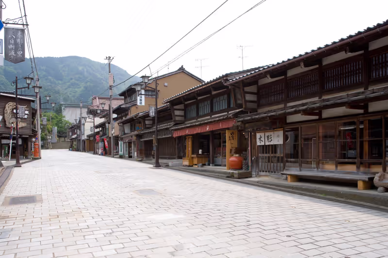 Toyama Private Tour - Yokamachi Street of Inami