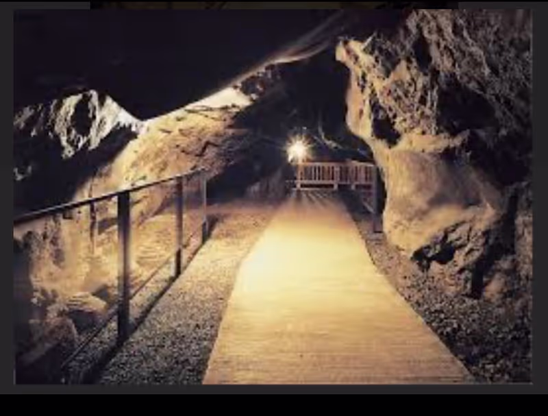 Kanagawa Private Tour - 