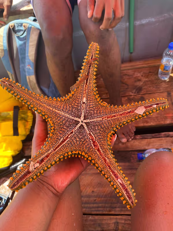 Zanzibar Private Tour - A hidden coastal gem.