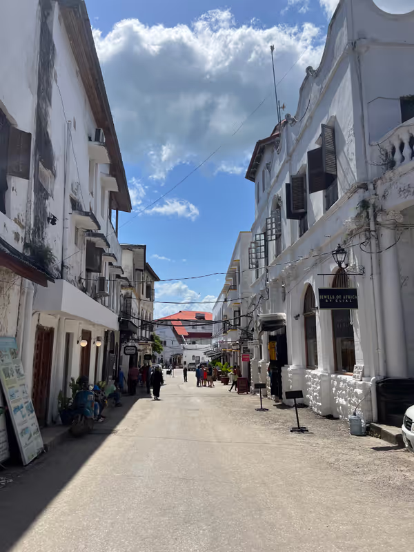 Zanzibar Private Tour - 