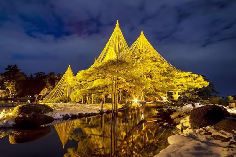 Toyama Private Tour - Kenrokuen with lightup