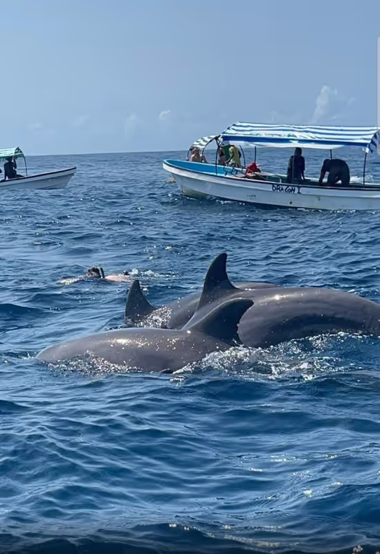 Zanzibar Private Tour - 