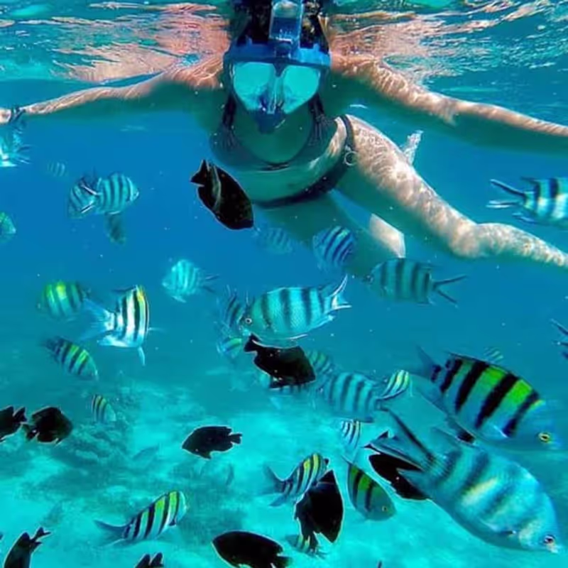 Zanzibar Private Tour - 