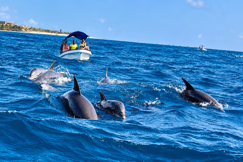 Zanzibar Private Tour - 