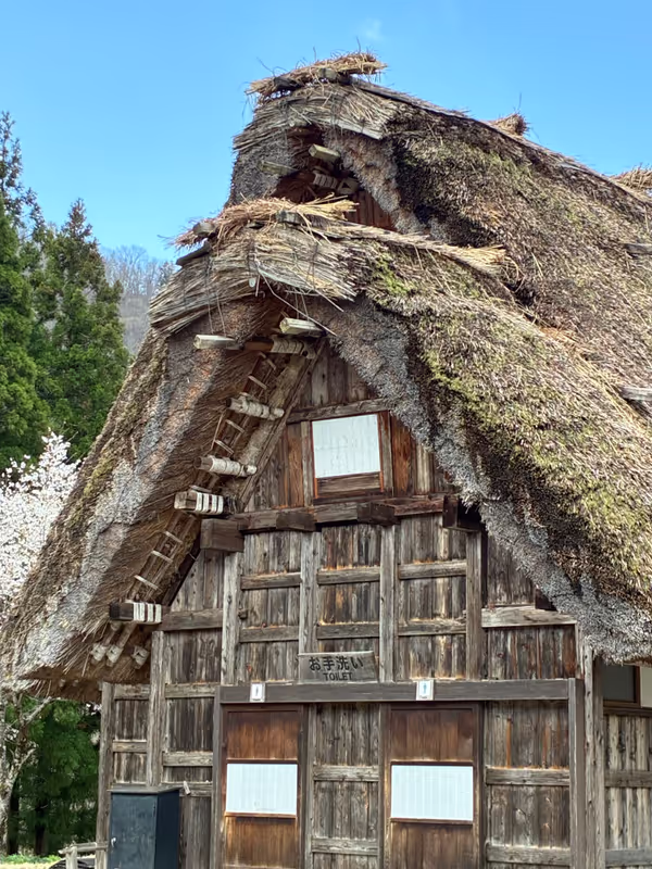 Toyama Private Tour - Thatched roof house