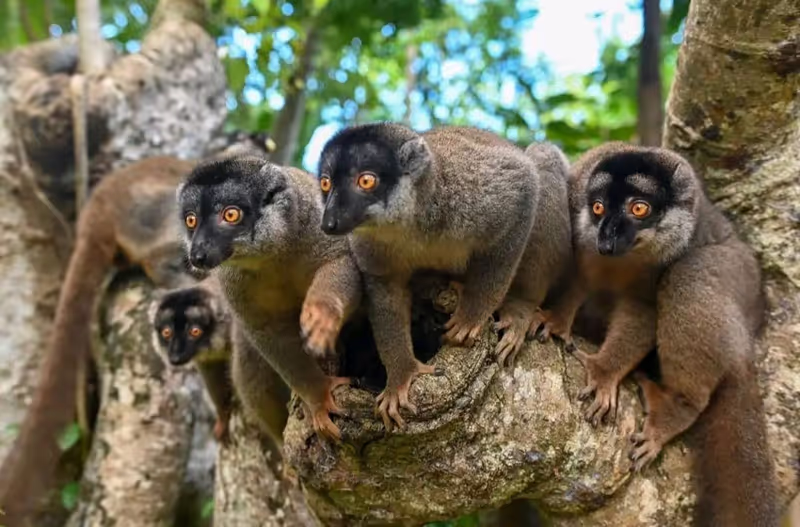 Antananarivo Private Tour - 