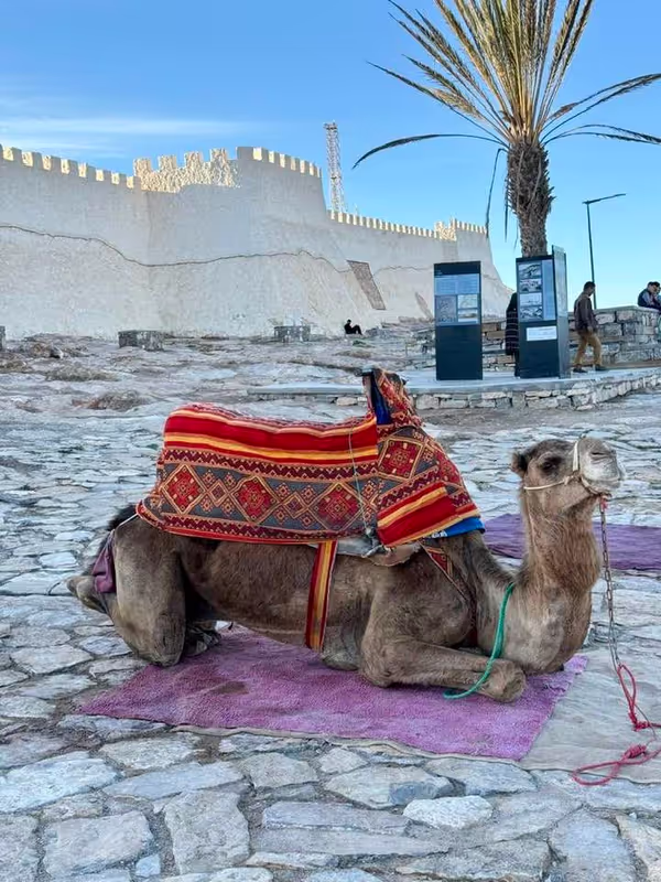 Agadir Private Tour - Agadir Oufella