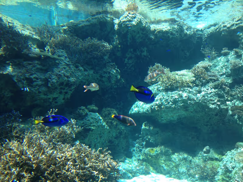 Okinawa Main Island Private Tour - 