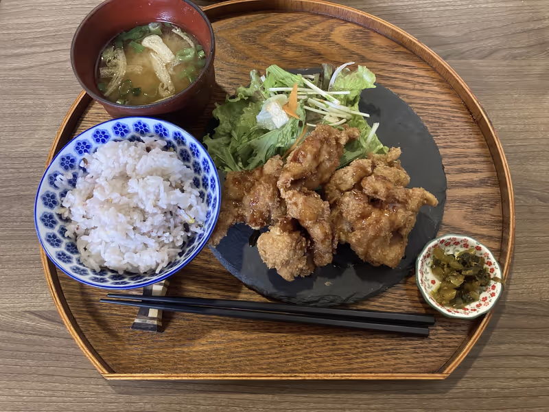Toyama Private Tour - Karaage-Japanese Fried Chicken