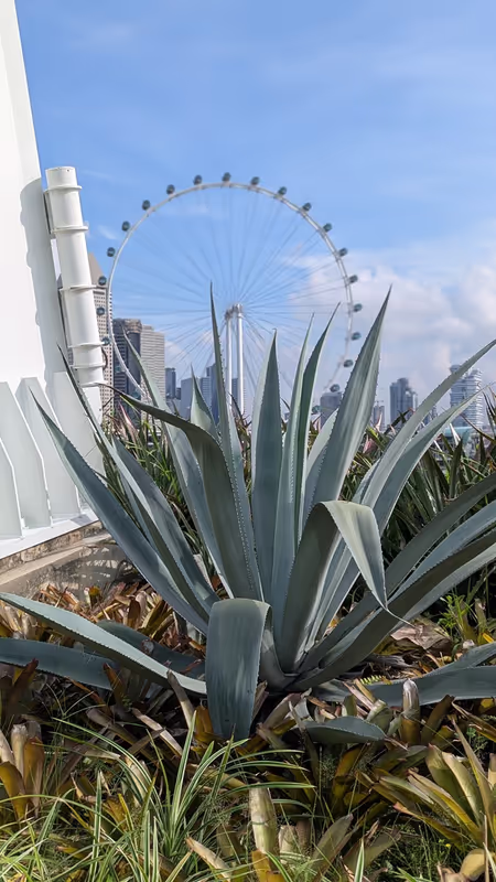 Singapore Private Tour - 