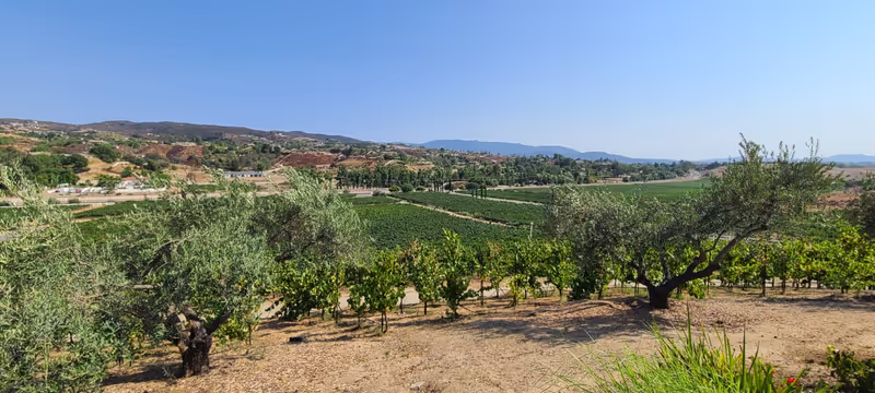 Santa Barbara Private Tour - 