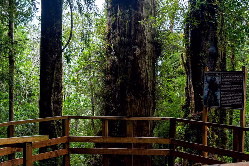 Puerto Varas Private Tour - 