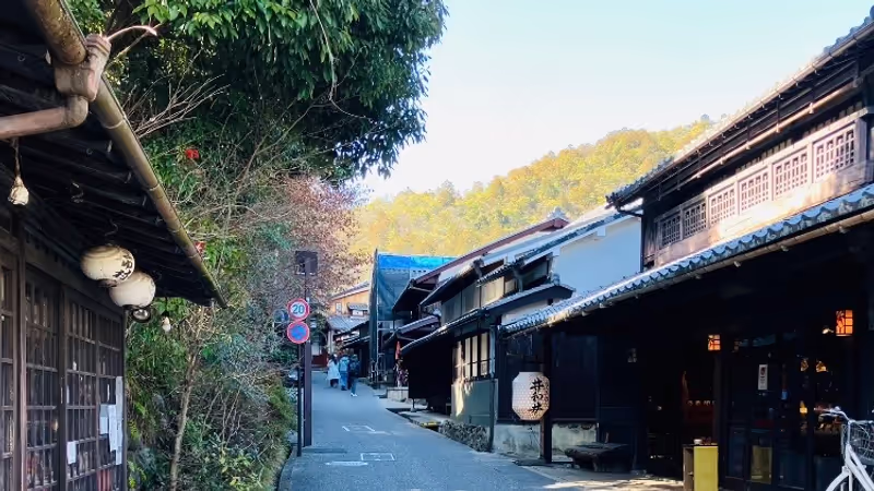 Kyoto Private Tour - Saga-Toriimoto Historic Street