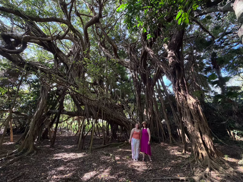Okinawa Main Island Private Tour - hidden spot