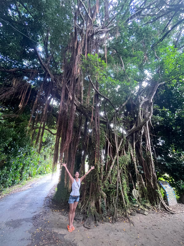 Okinawa Main Island Private Tour - Banyan tree