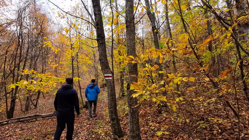 Yerevan Private Tour - Hiking through the emerald forests of Dilijan Nati