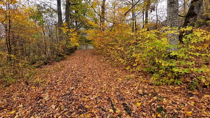 Yerevan Private Tour - Discovering hidden trails from Parz Lake to Goshav