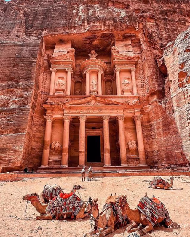 Aqaba Private Tour - 