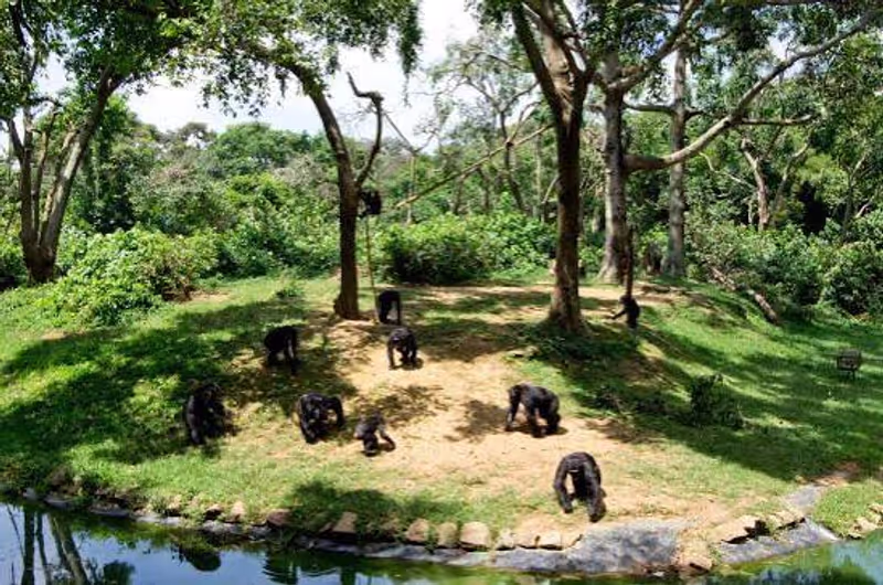 Kampala Private Tour - 