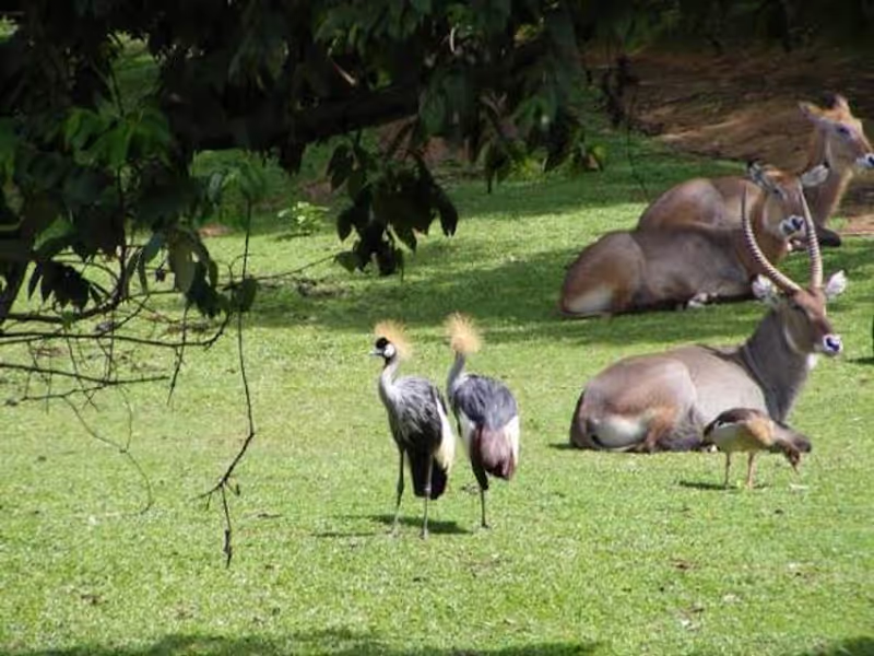 Kampala Private Tour - 