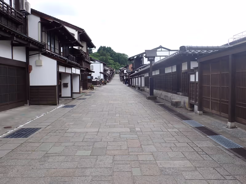 Toyama Private Tour - Suwa Machi Street