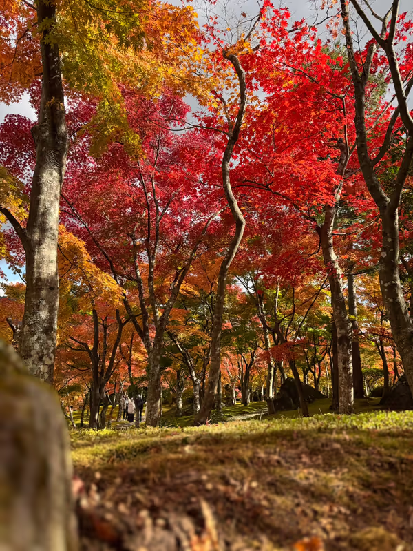 Hakone Private Tour - 