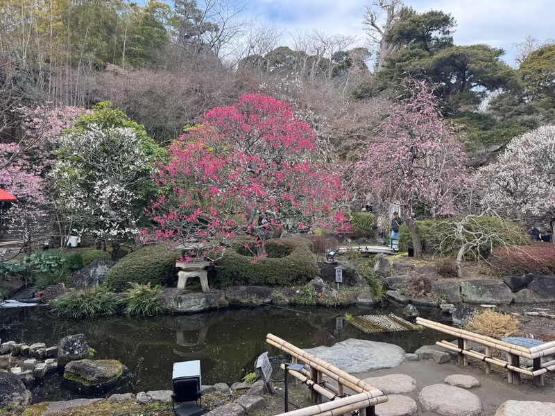 Tokyo Private Tour - 