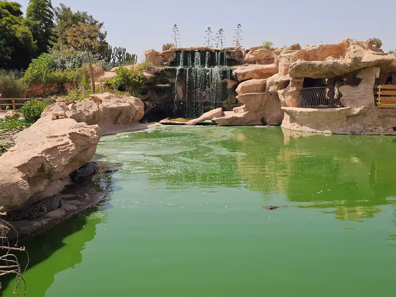 Agadir Private Tour - Crocoparc Agadir2