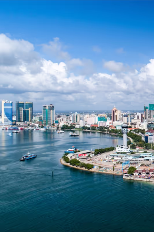 Dar es Salaam Private Tour - 
