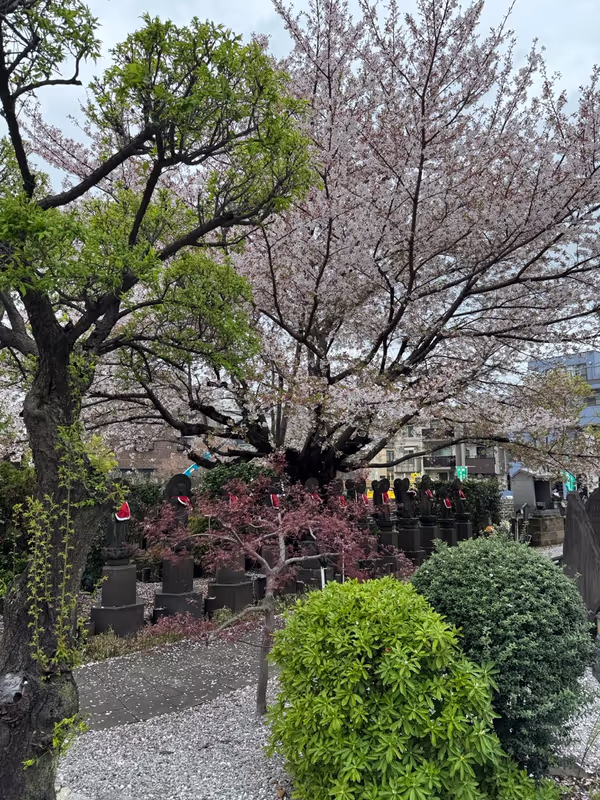 Tokyo Private Tour - 