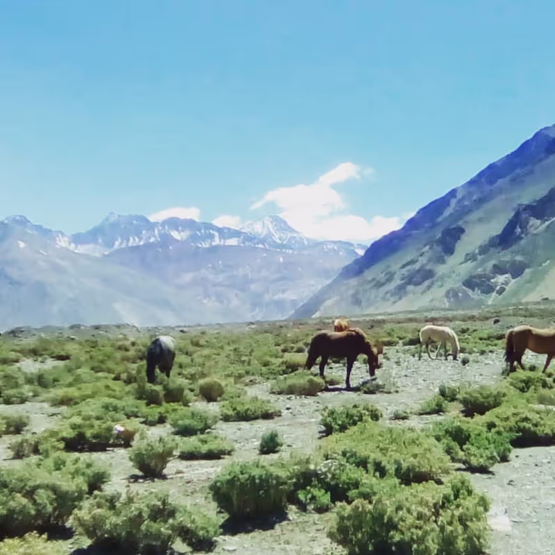 Santiago Private Tour - 