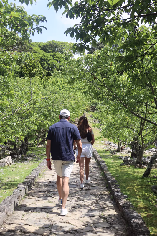 Okinawa Main Island Private Tour - Nakijin Castle Ruins and Cherry Blossoms