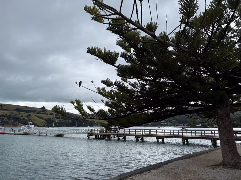 Christchurch Private Tour - akaroa