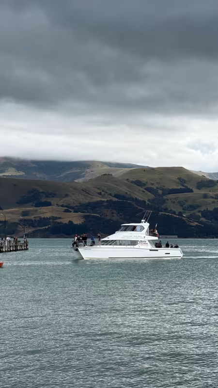 Christchurch Private Tour - cruise