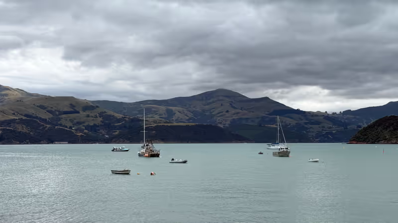 Christchurch Private Tour - akaroa