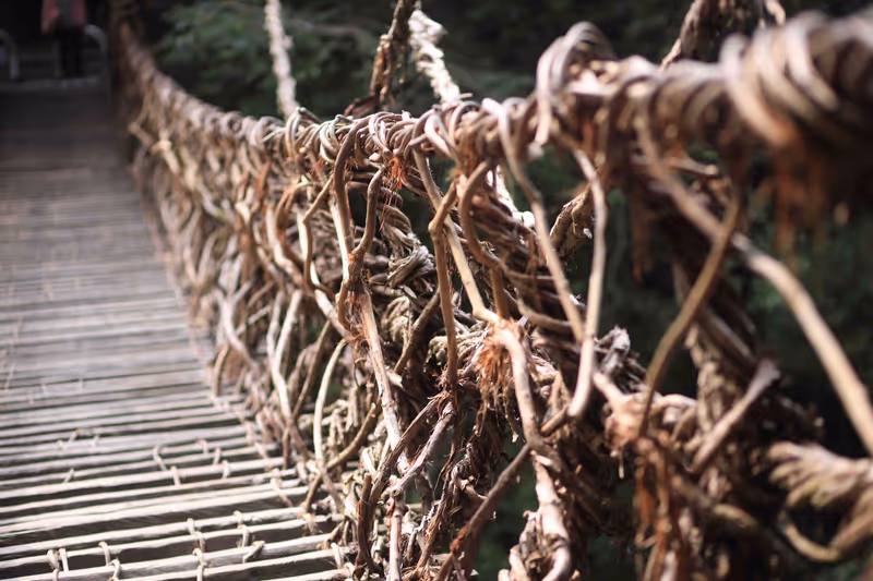 Kochi Private Tour - Iya Vine Bridge