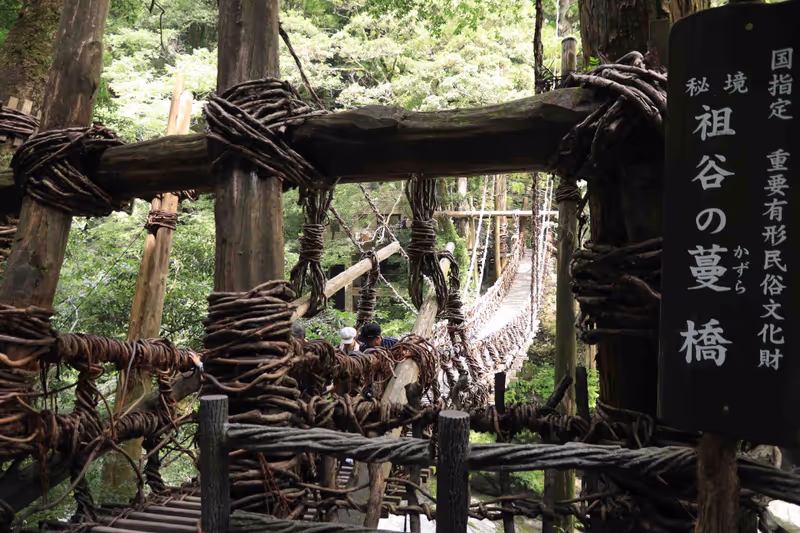 Kochi Private Tour - Iya Vine Bridge