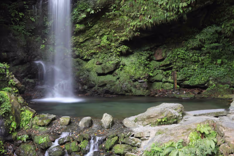 Kochi Private Tour - Waterfall near the Bridge